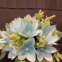 Blue lily
