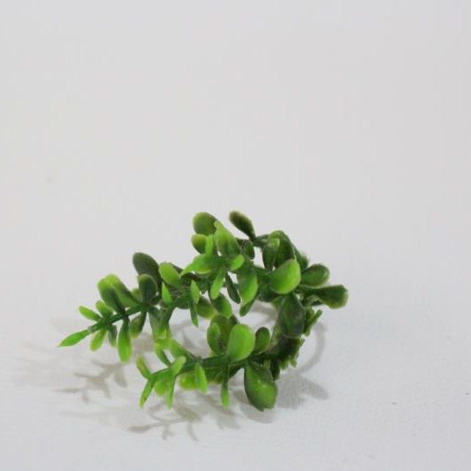 Grass 12
