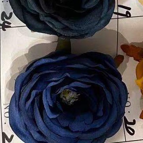 Navy blue peony