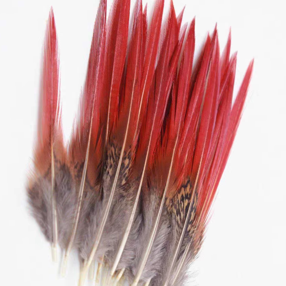 Golden Rooster Red Arrow 5-10 cm