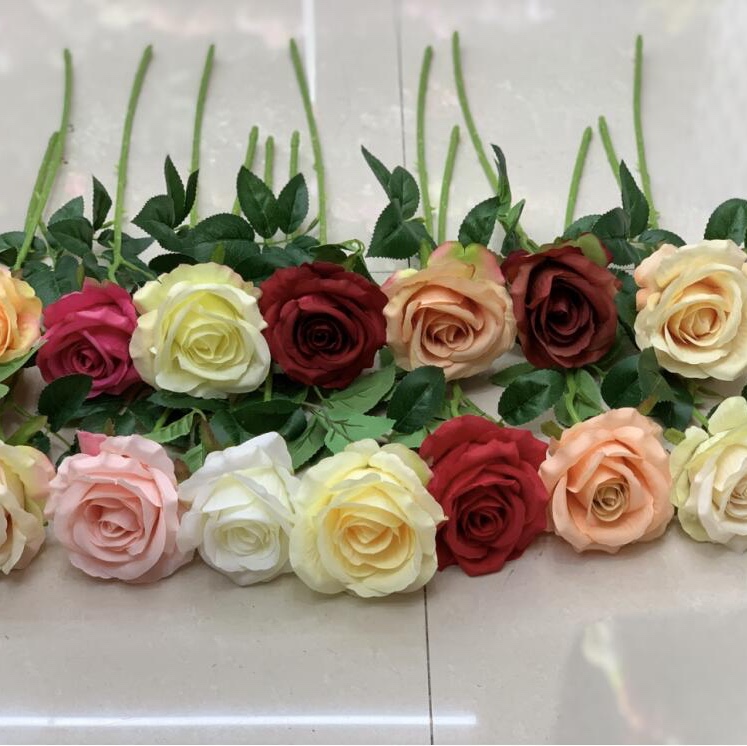 JYZ-1 Italian rose