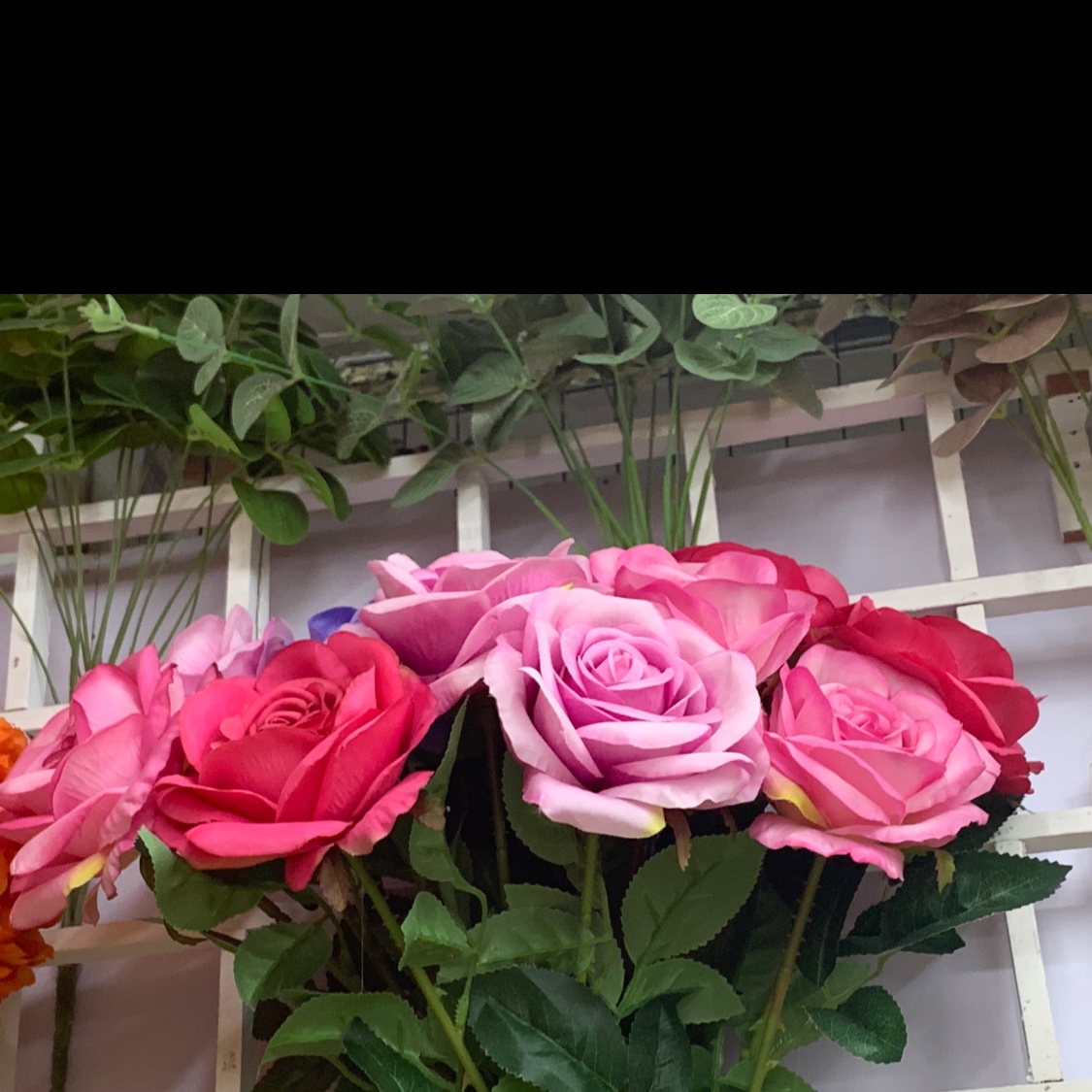 JYZ-2 Happy Rose Application Scenario