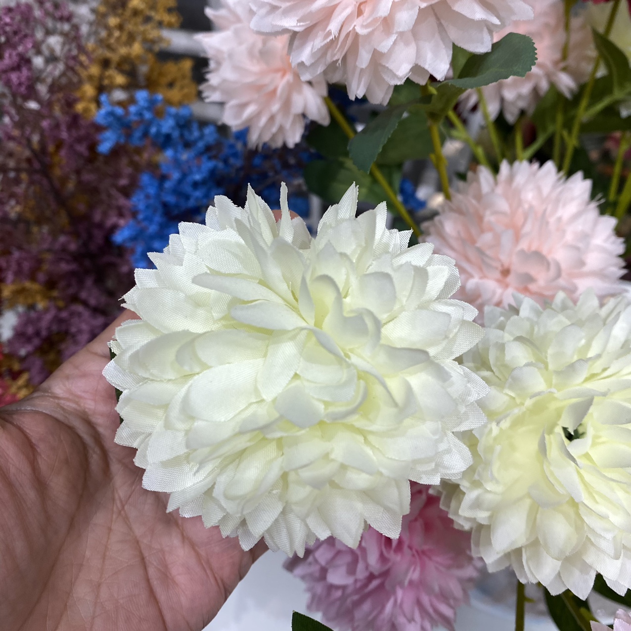 Cream white bulb flowers