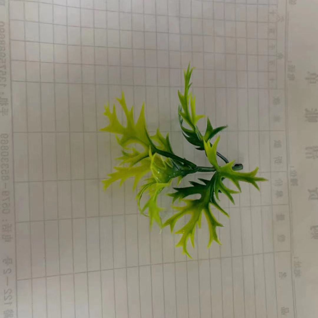 العشب 201