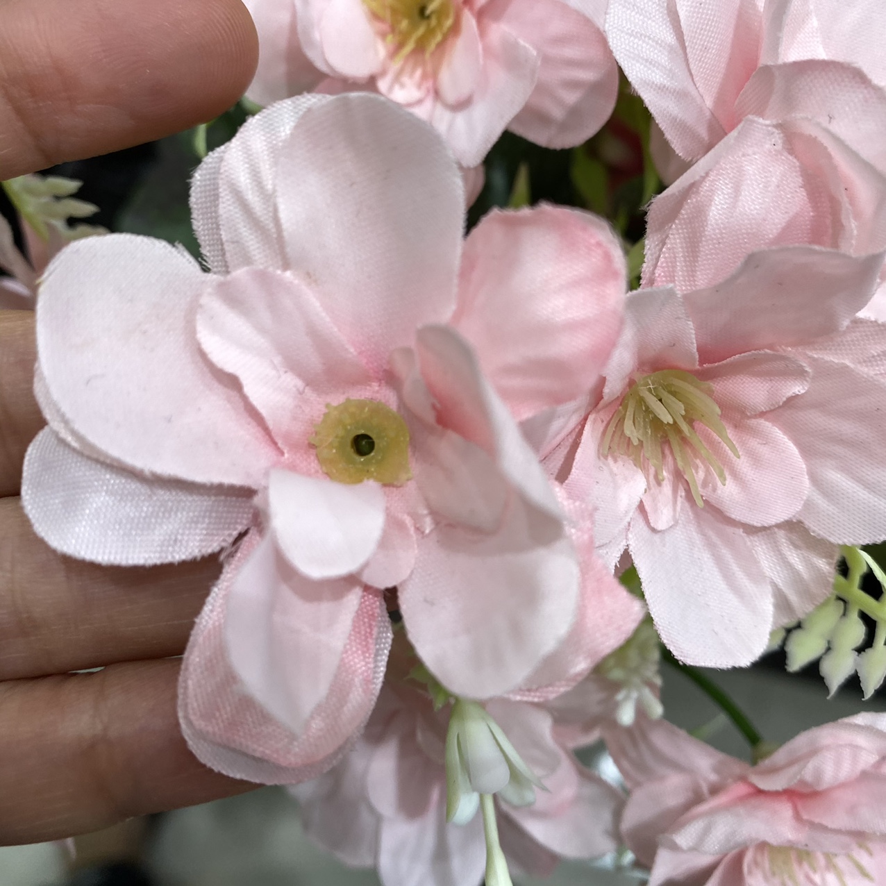 Pink cherry blossom