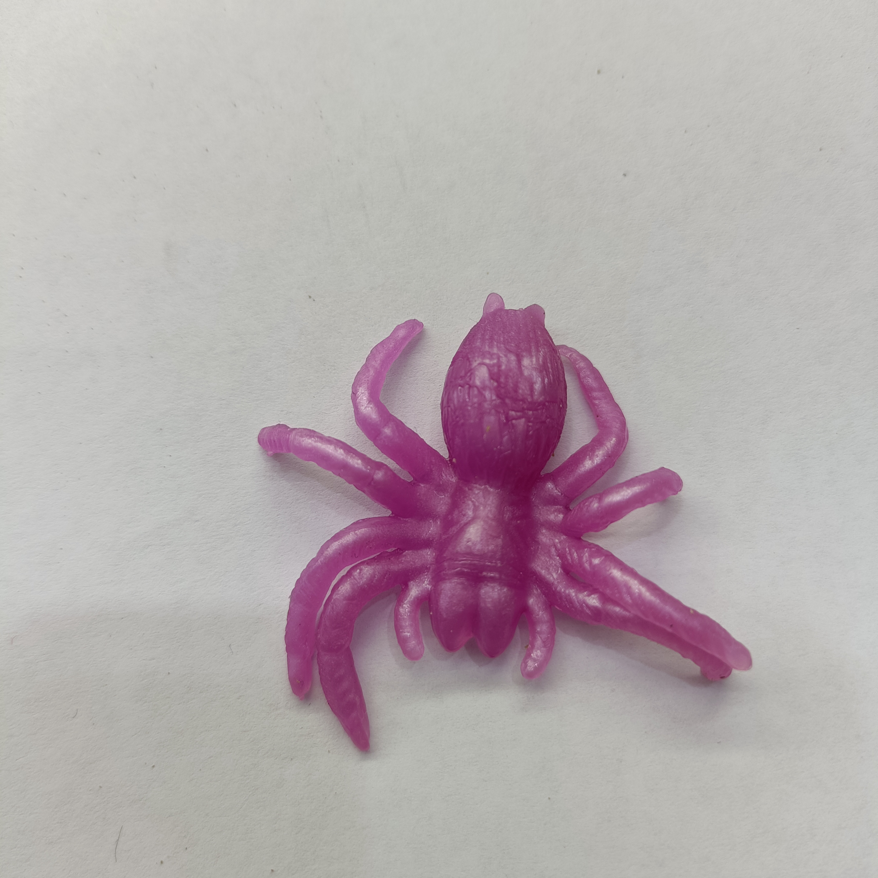 Spider 1