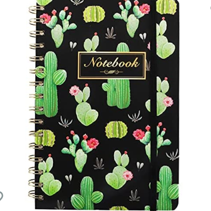 Donghu Paper Products Unicorn Korean cartoon in's hot-selling mini portable coil notebook Cactus black background coil notebook