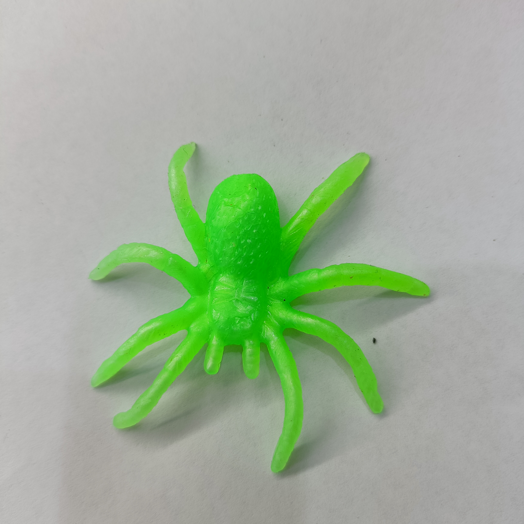 Spider 5
