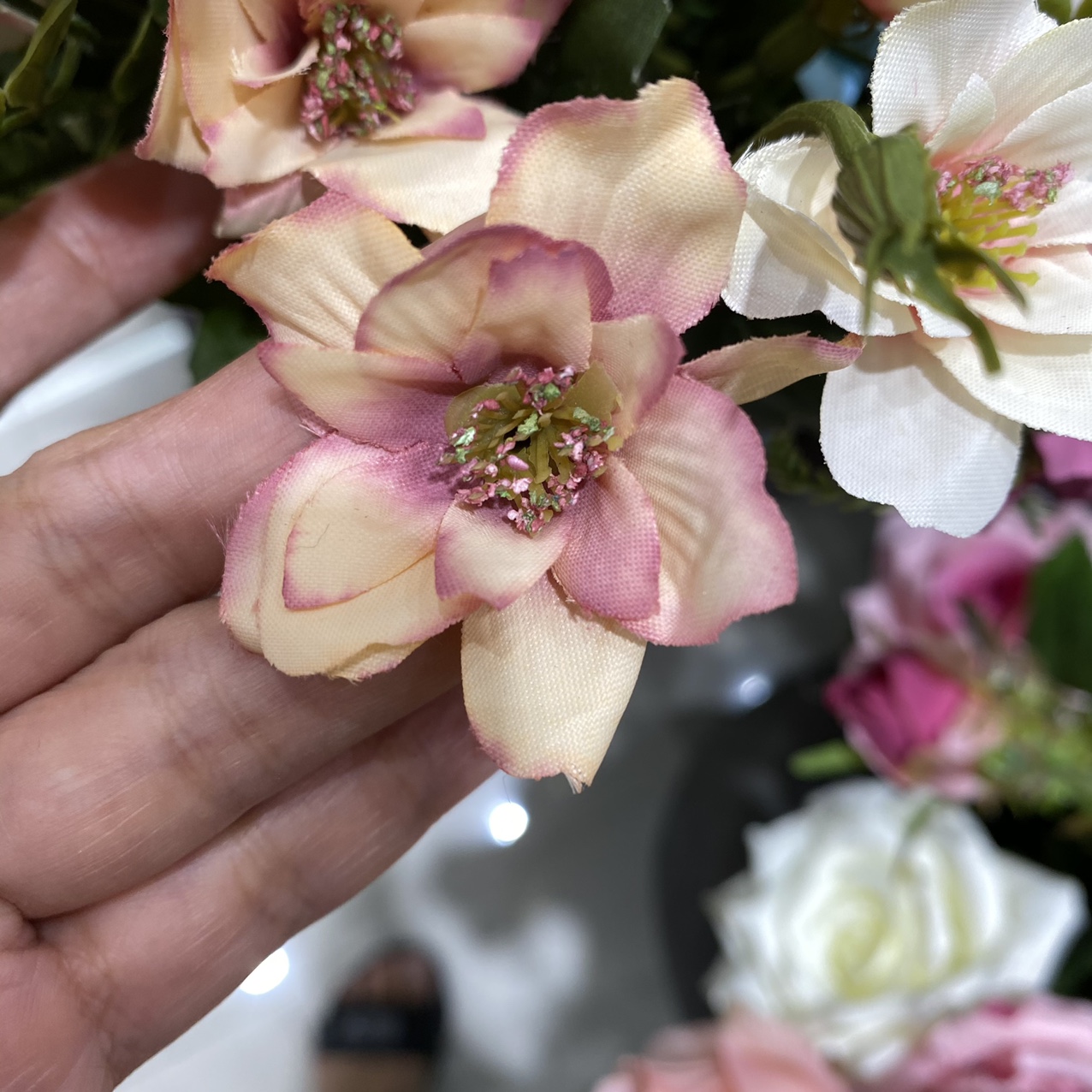Gradient pink cherry blossoms