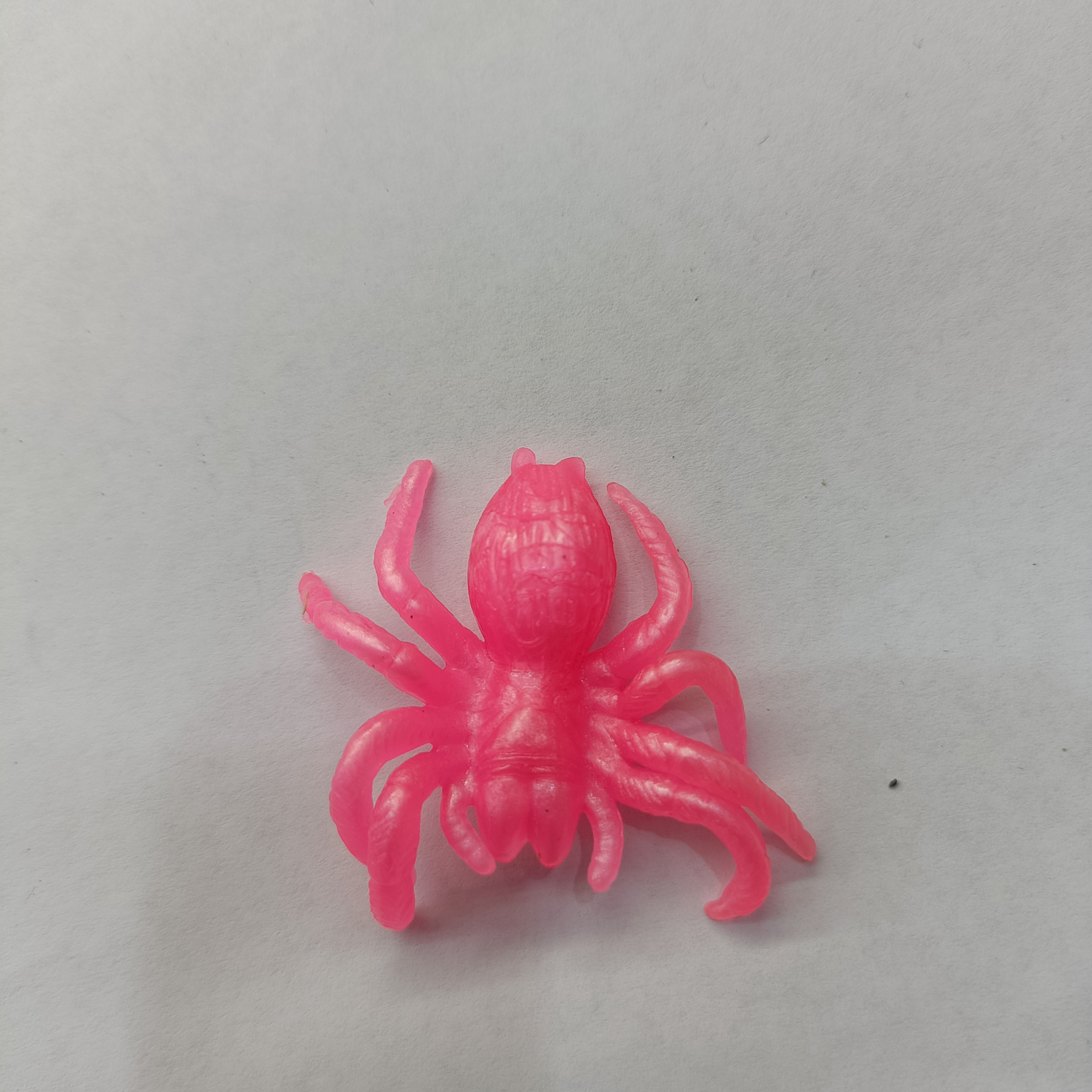 Spider 4