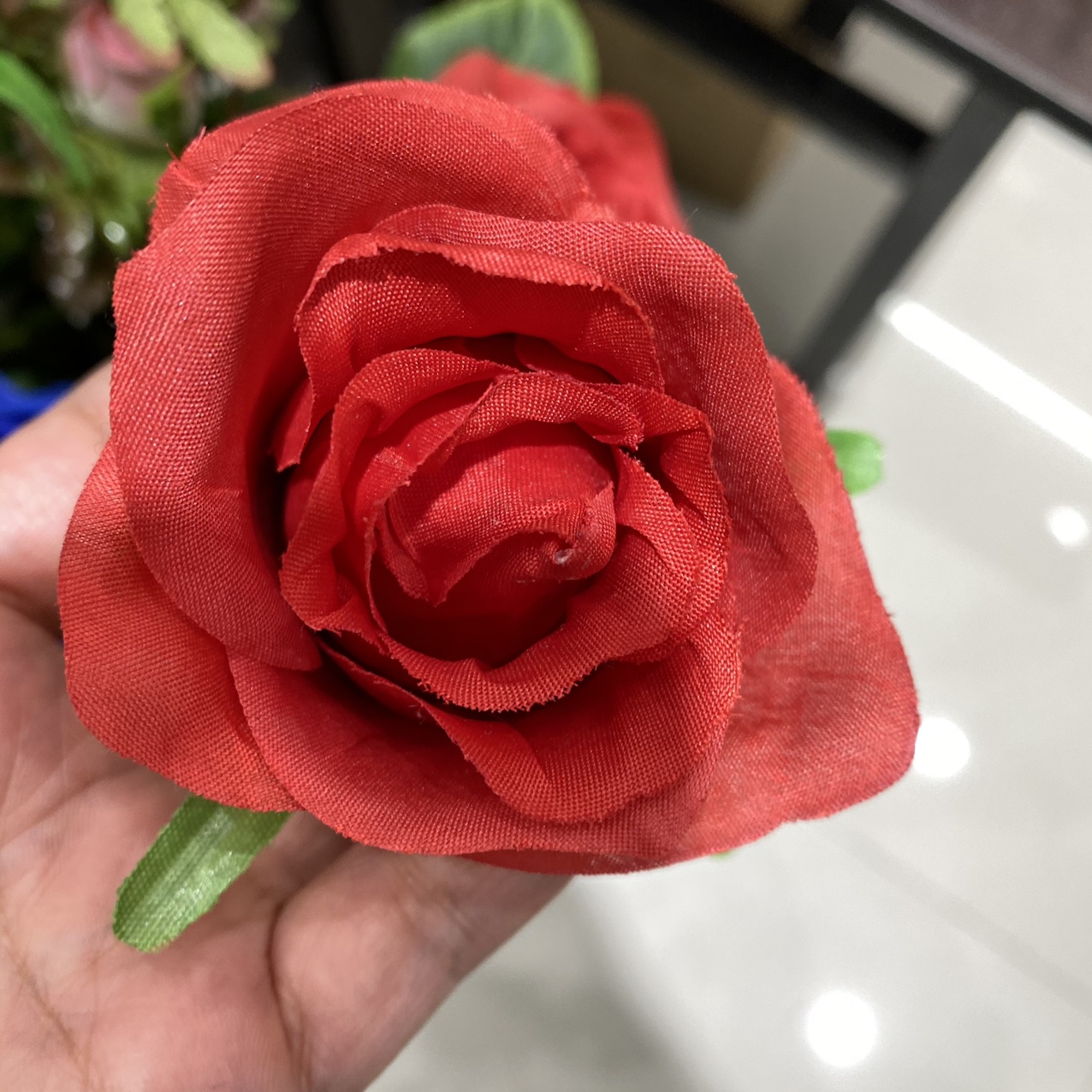 Big red round rose