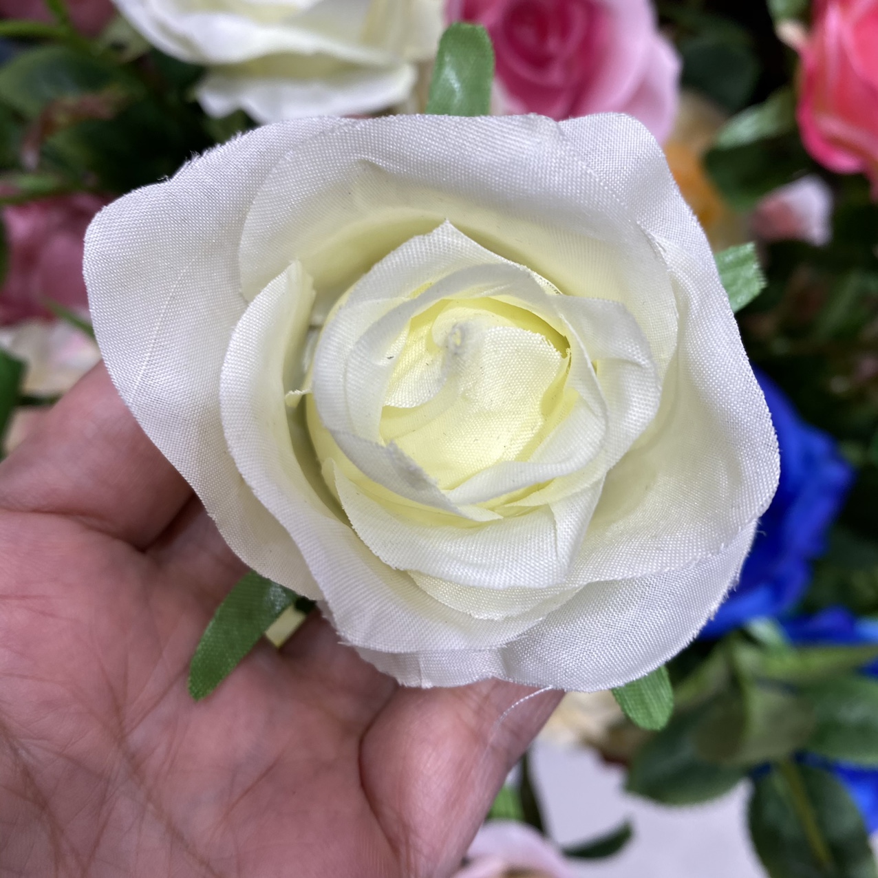 Cream white round rose