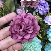 Small Burgundy bulb flowers