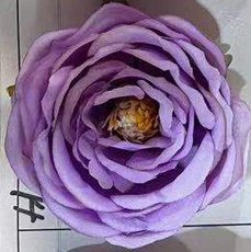 Purple peony flower head