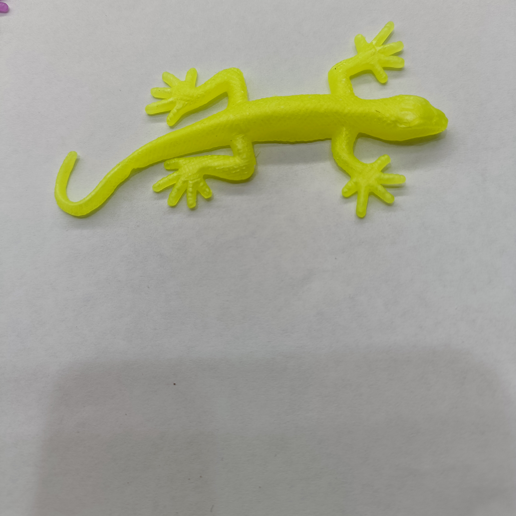 Gecko 4