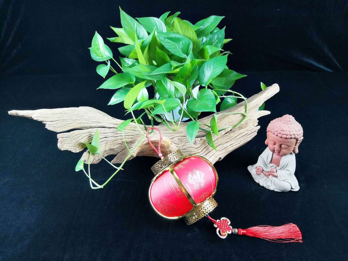 Children wear Hanfu and hold glowing lanterns for the Lantern Festival. Children carry lanterns on the 15th day of the first lunar month details Picture