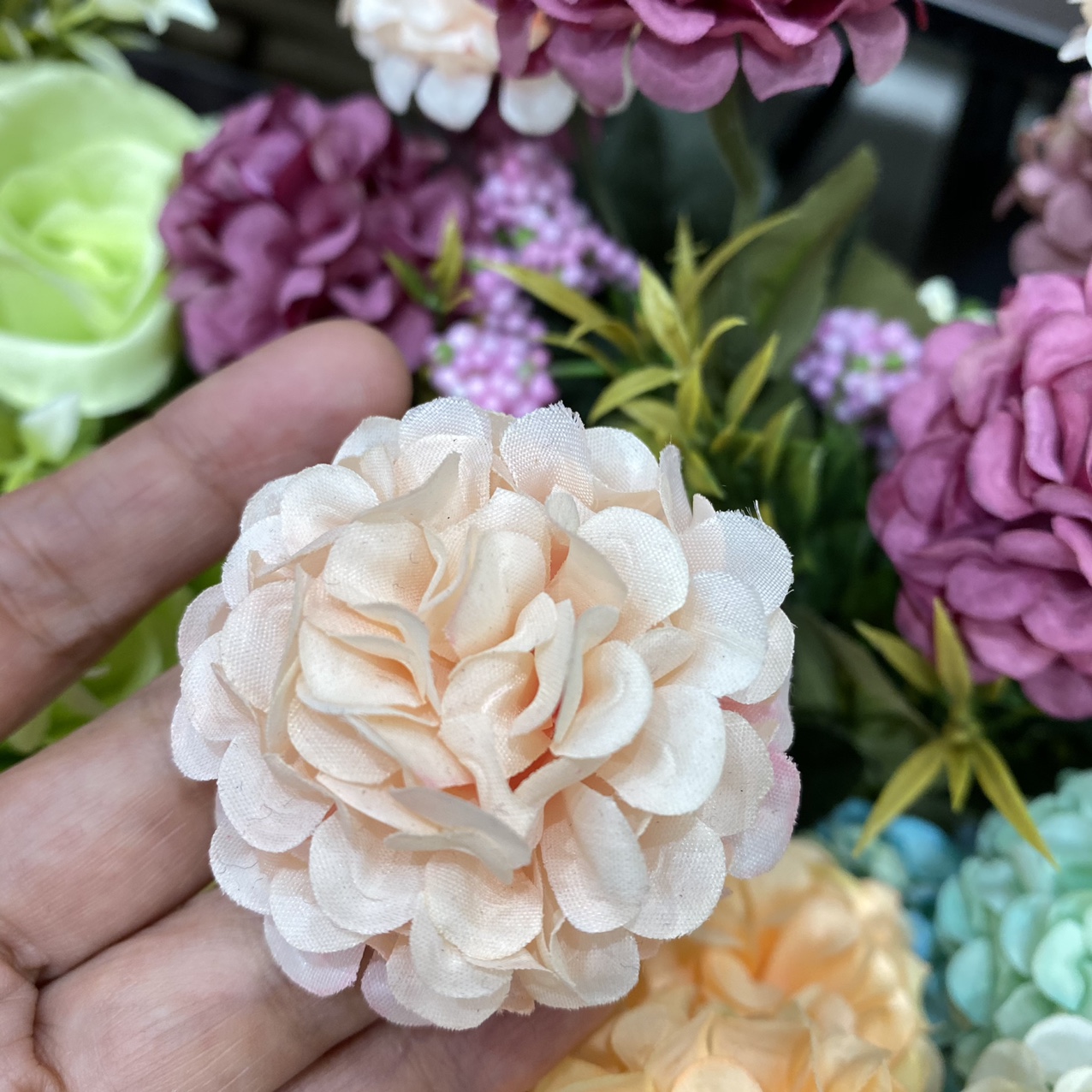 Cream white flower small trumpet
