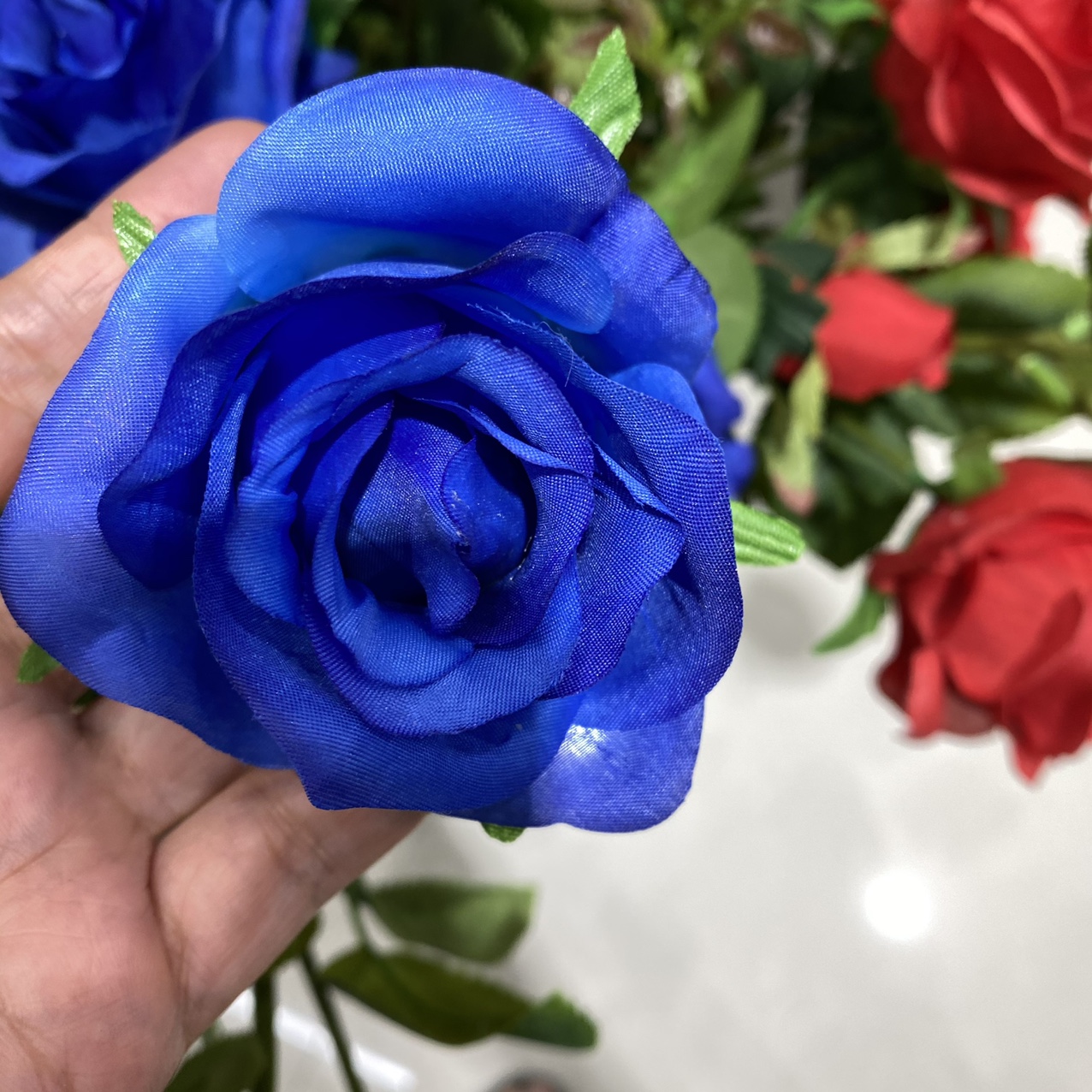 Royal blue round rose