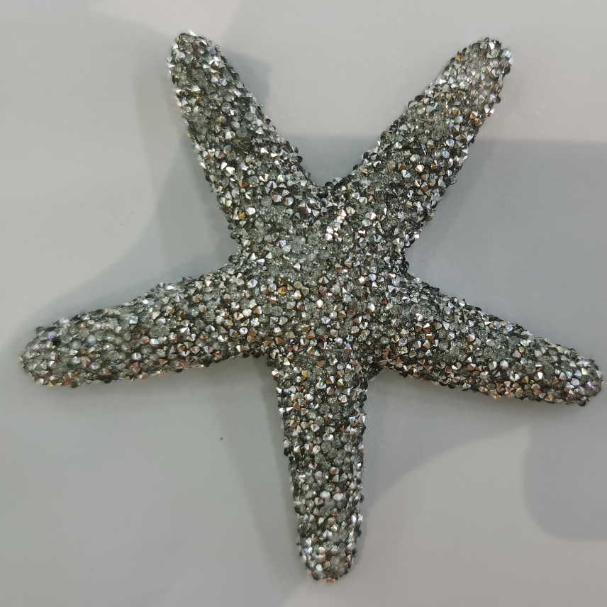Starfish hairpin