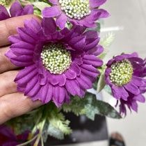 Purple and green heart flowers