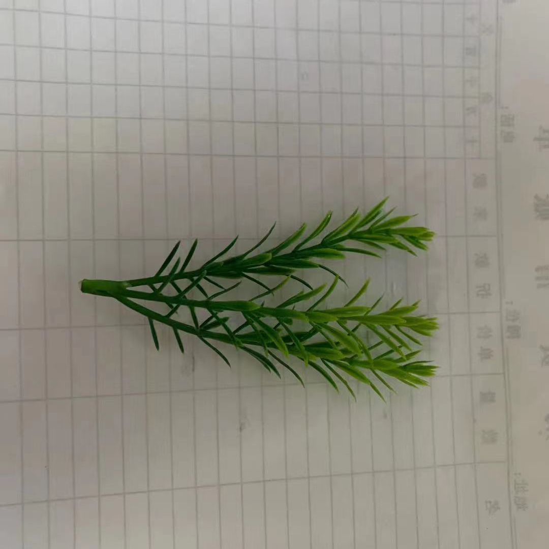 草173