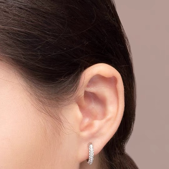 Zircon is filled with zirconium ear buckles