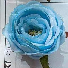 Blue peony flower head