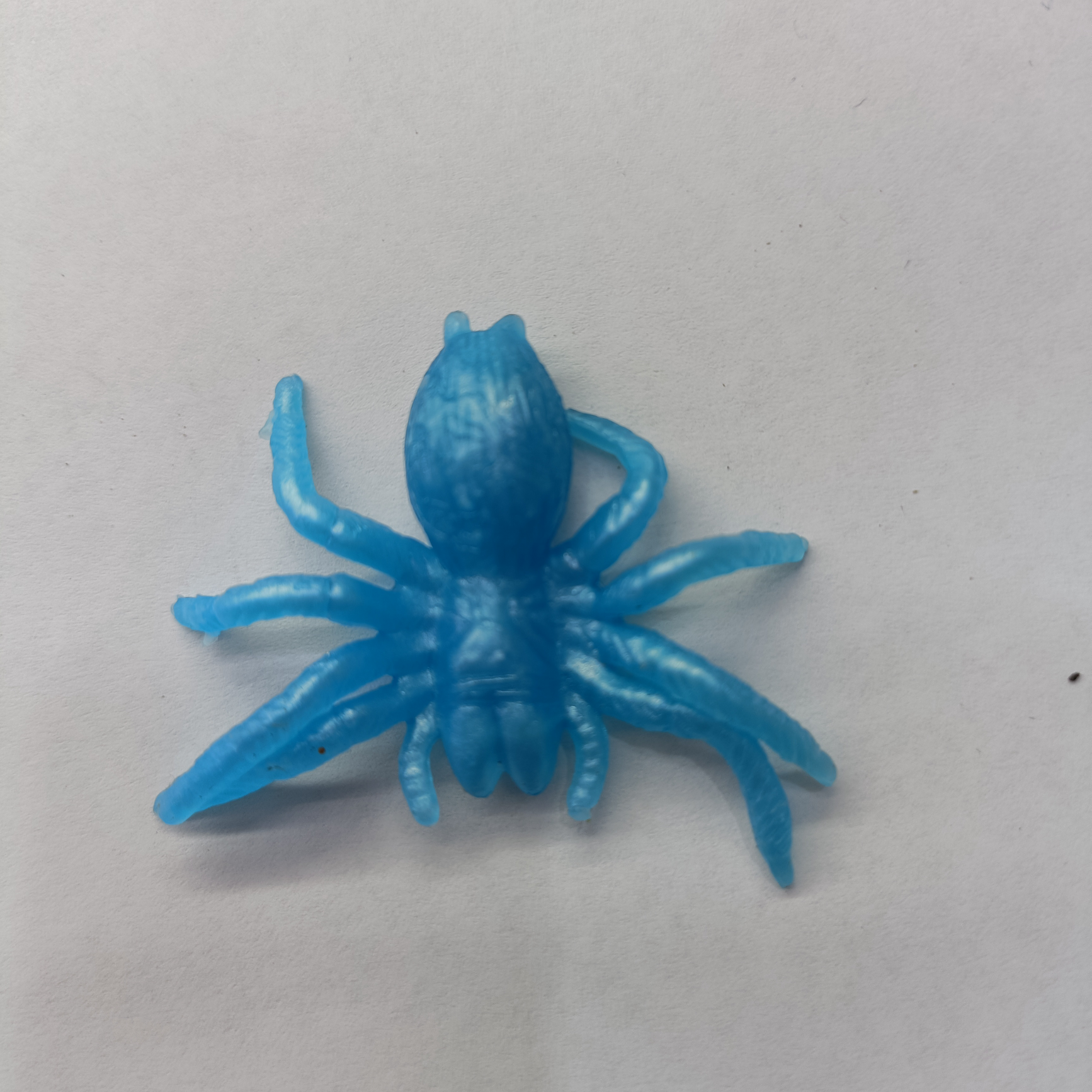 Spider 3