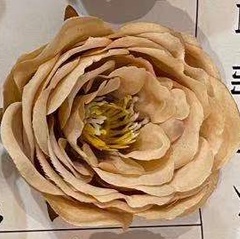 Golden peony heads