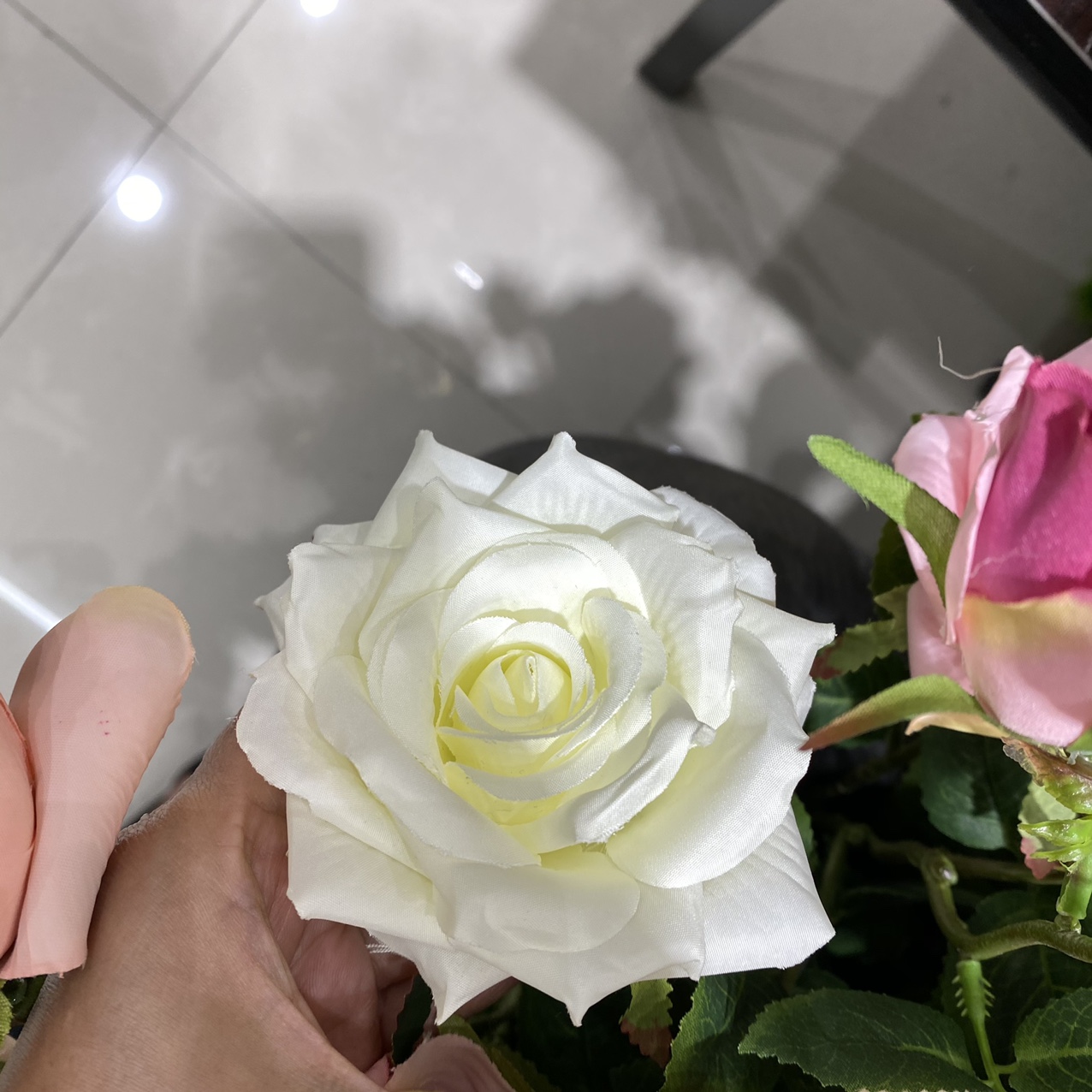 Large cream white rose thumbnail