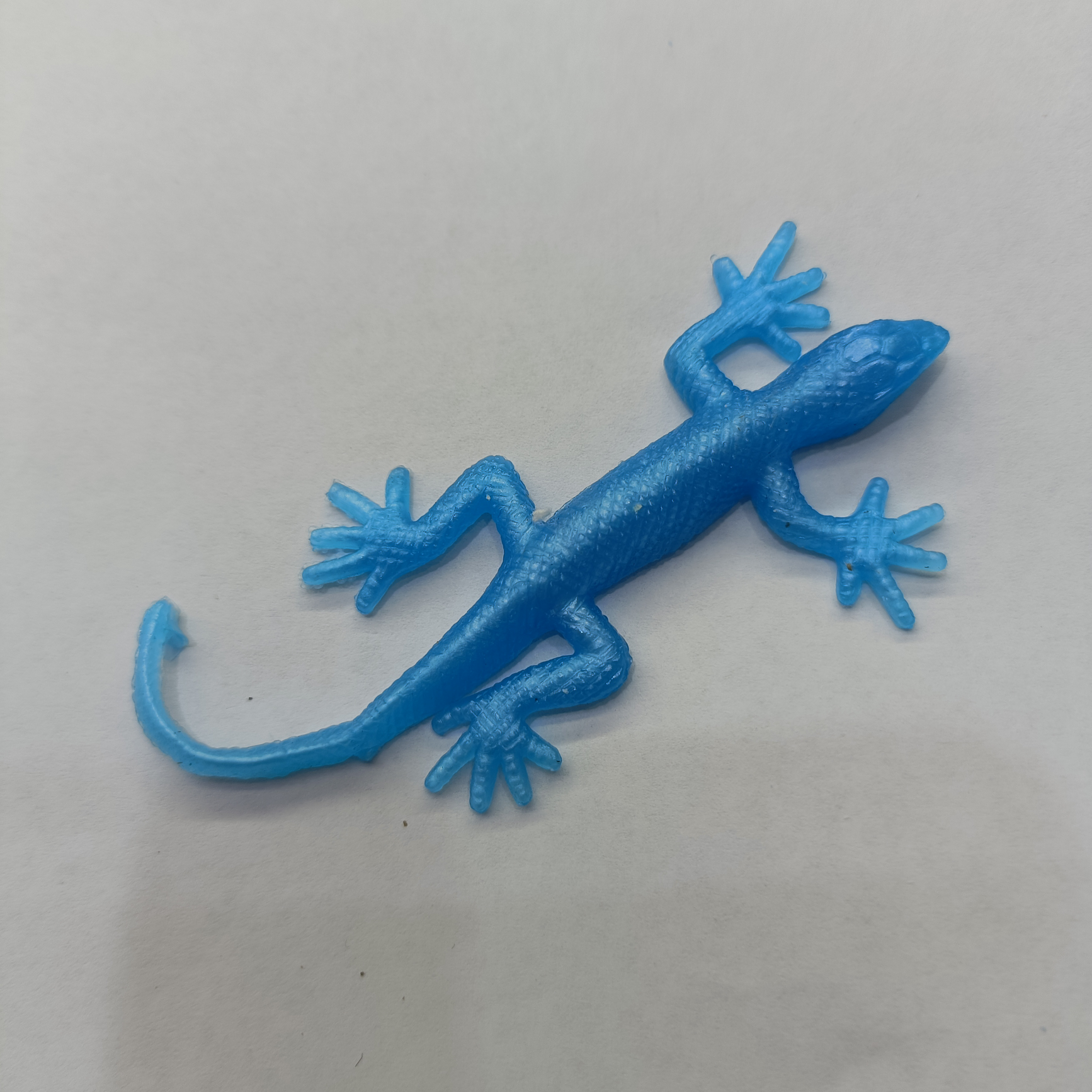 Gecko 1