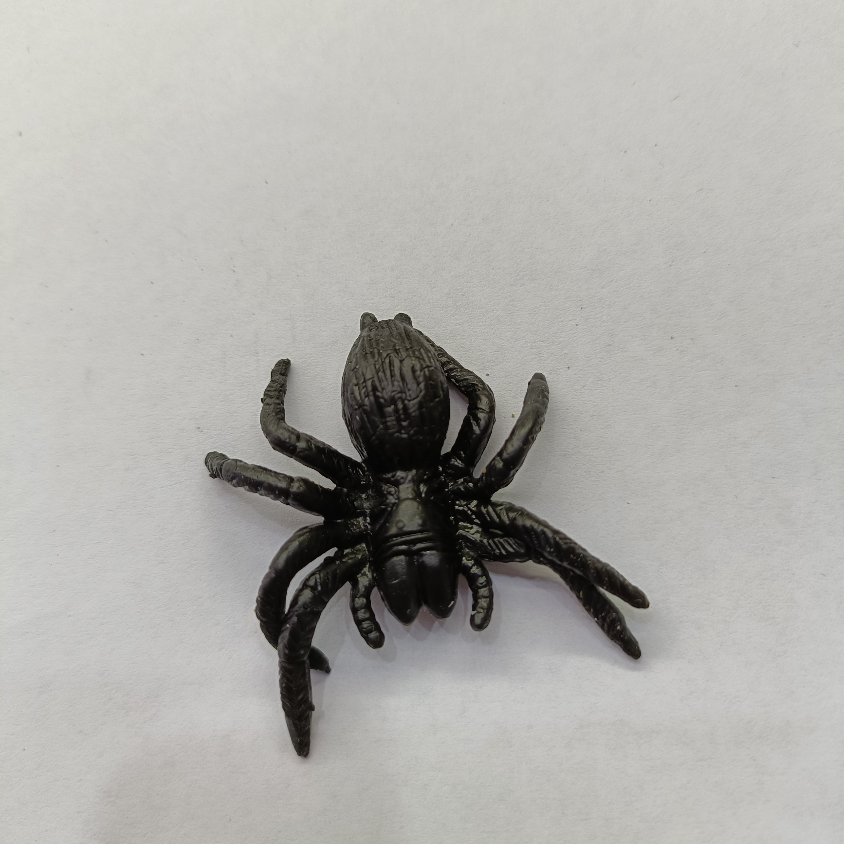 Spider 2