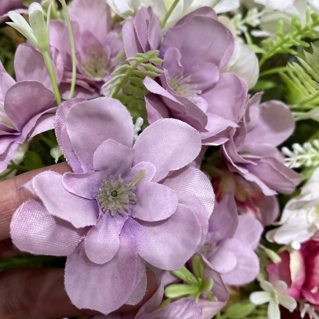 Purple cherry blossom