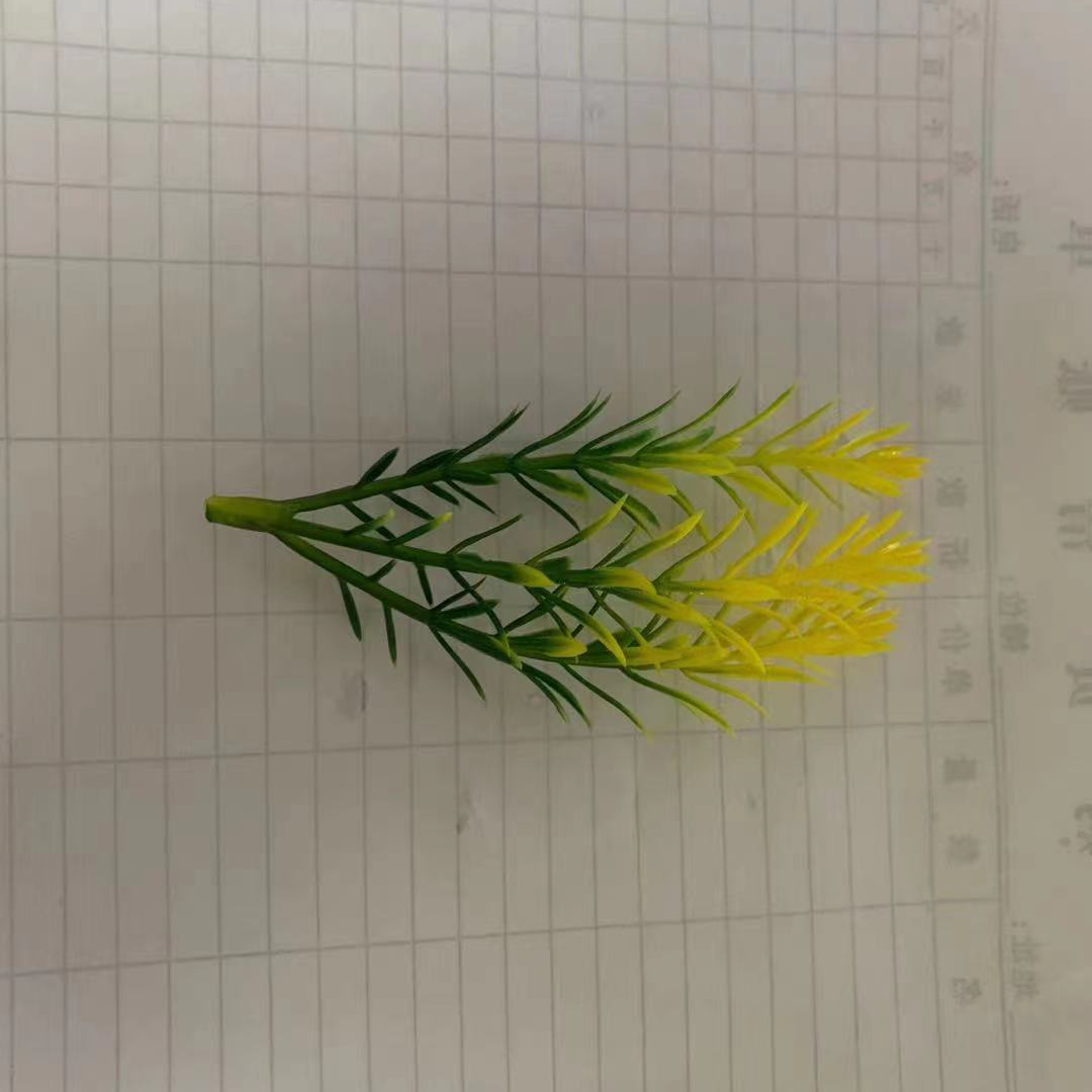 العشب 206