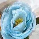 Sky blue camellia