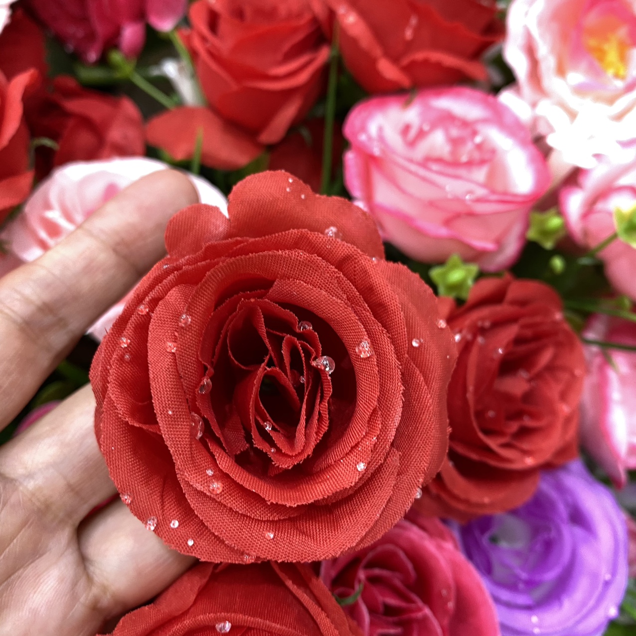 Water drop round center rose bright red