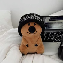 Korean Instagram plush doll Koala doll cartoon cute girl birthday gift sleep doll toy funny 60