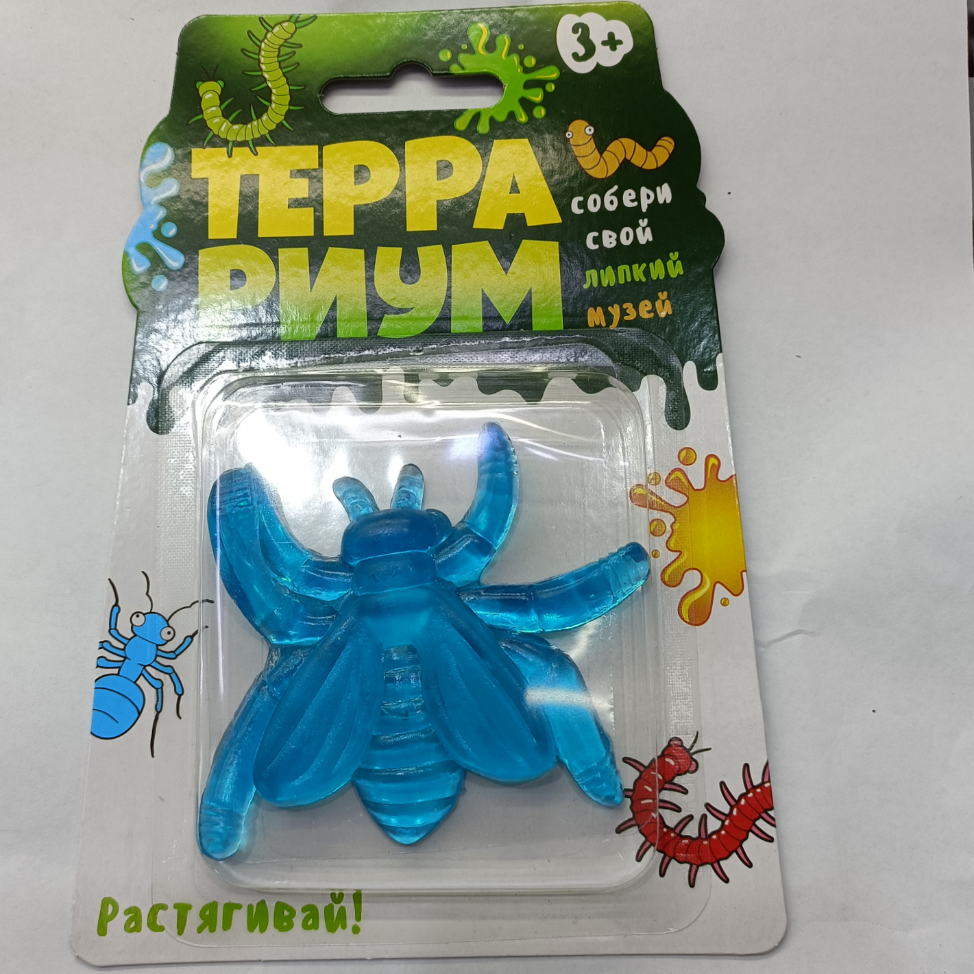 Insects 6