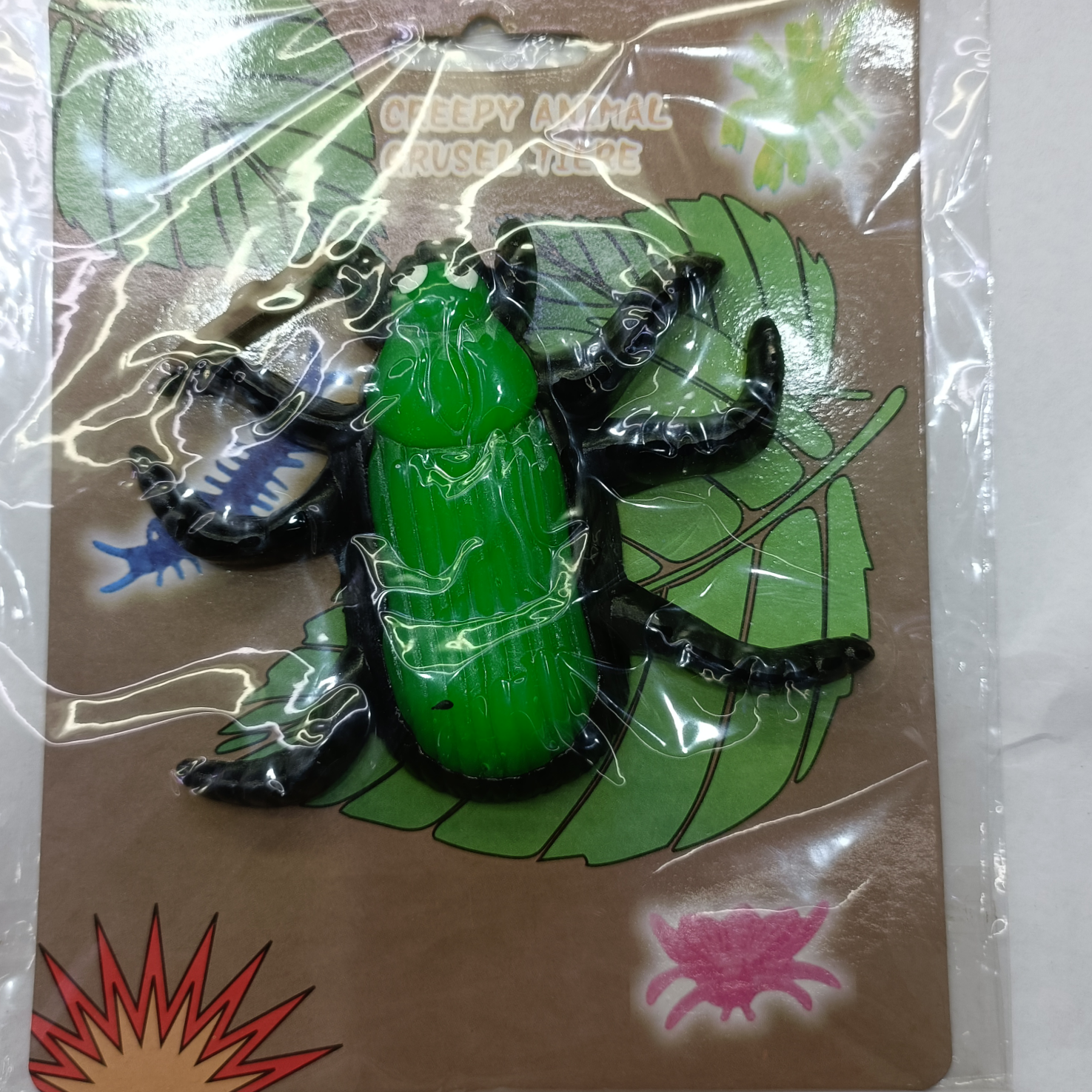 Insect 16