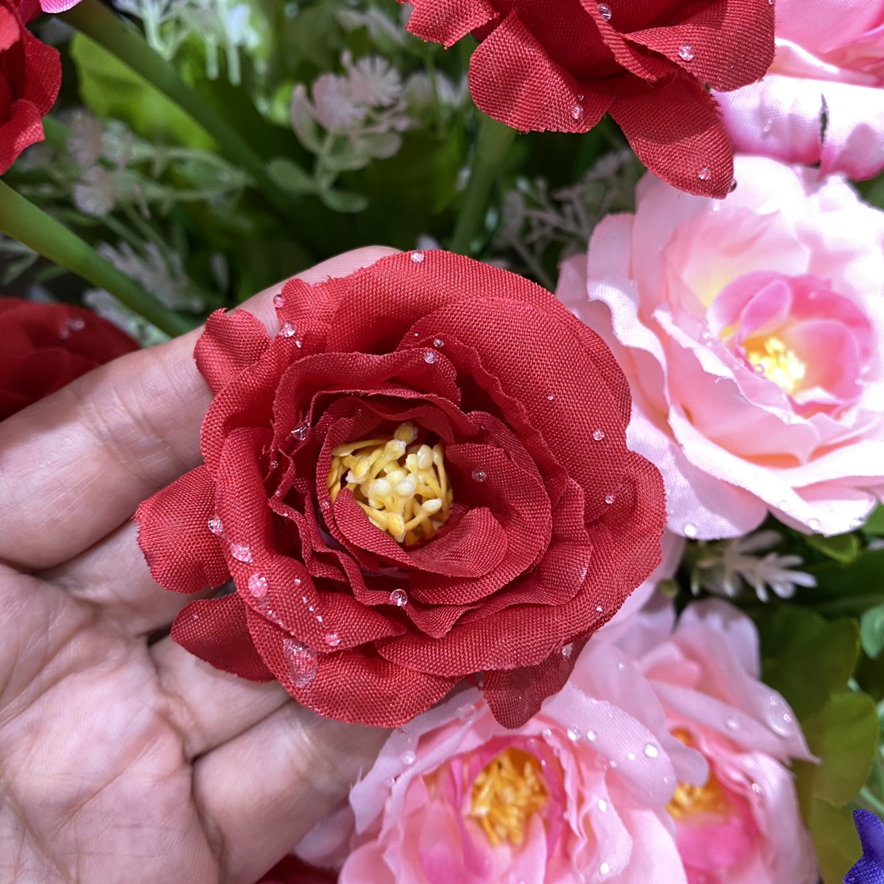 Water drop yellow heart rose big red