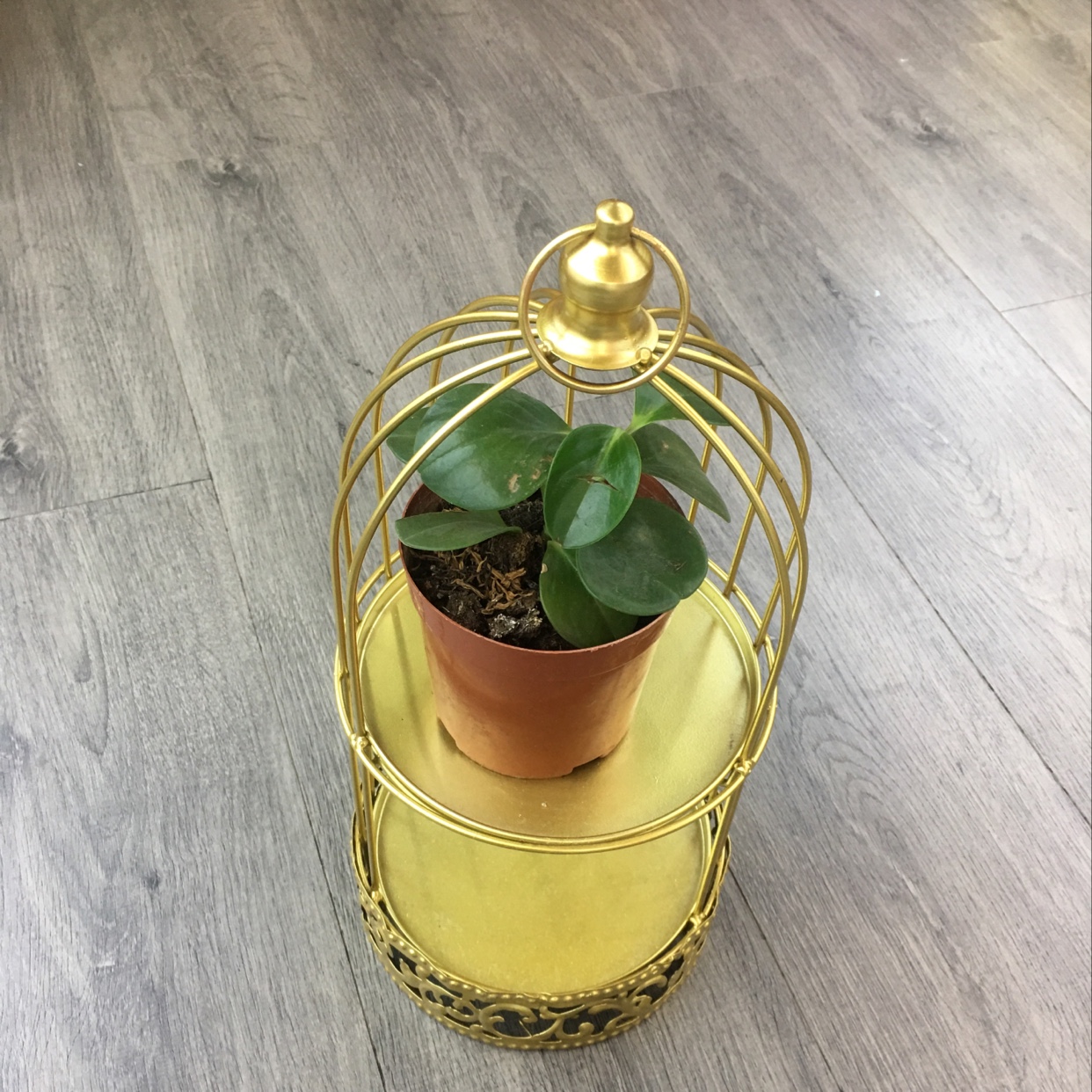 سلة فواكه، مصنوعات يدوية، سلة زهور منزلية Specification image