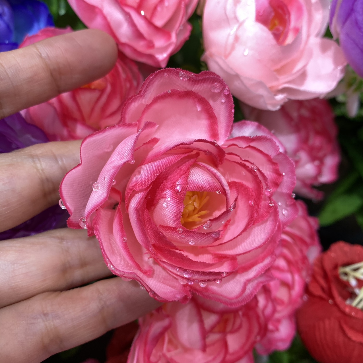 Water drop flower heart rose pink