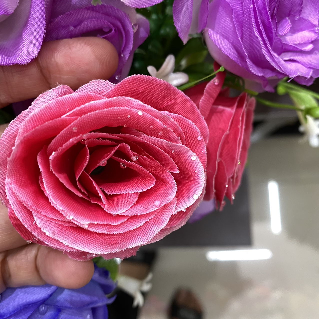 Water drop round rose rose red