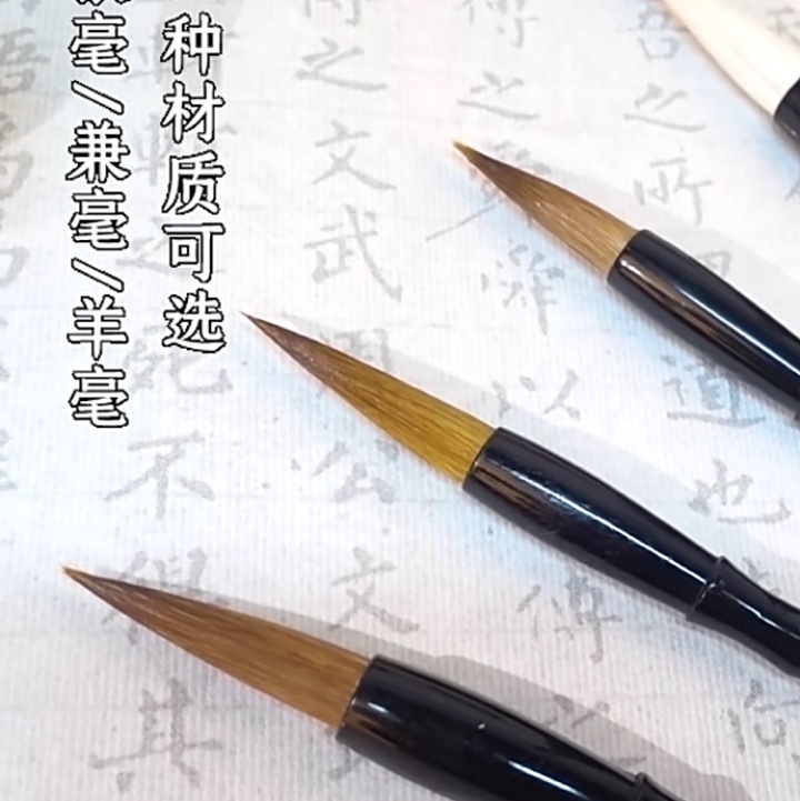 国潮毛笔套装狼毫兼毫羊毛斗笔初学者入门小学生三年级加健白云专业级小楷练字国画专用儿童软笔书法专用狼豪全套