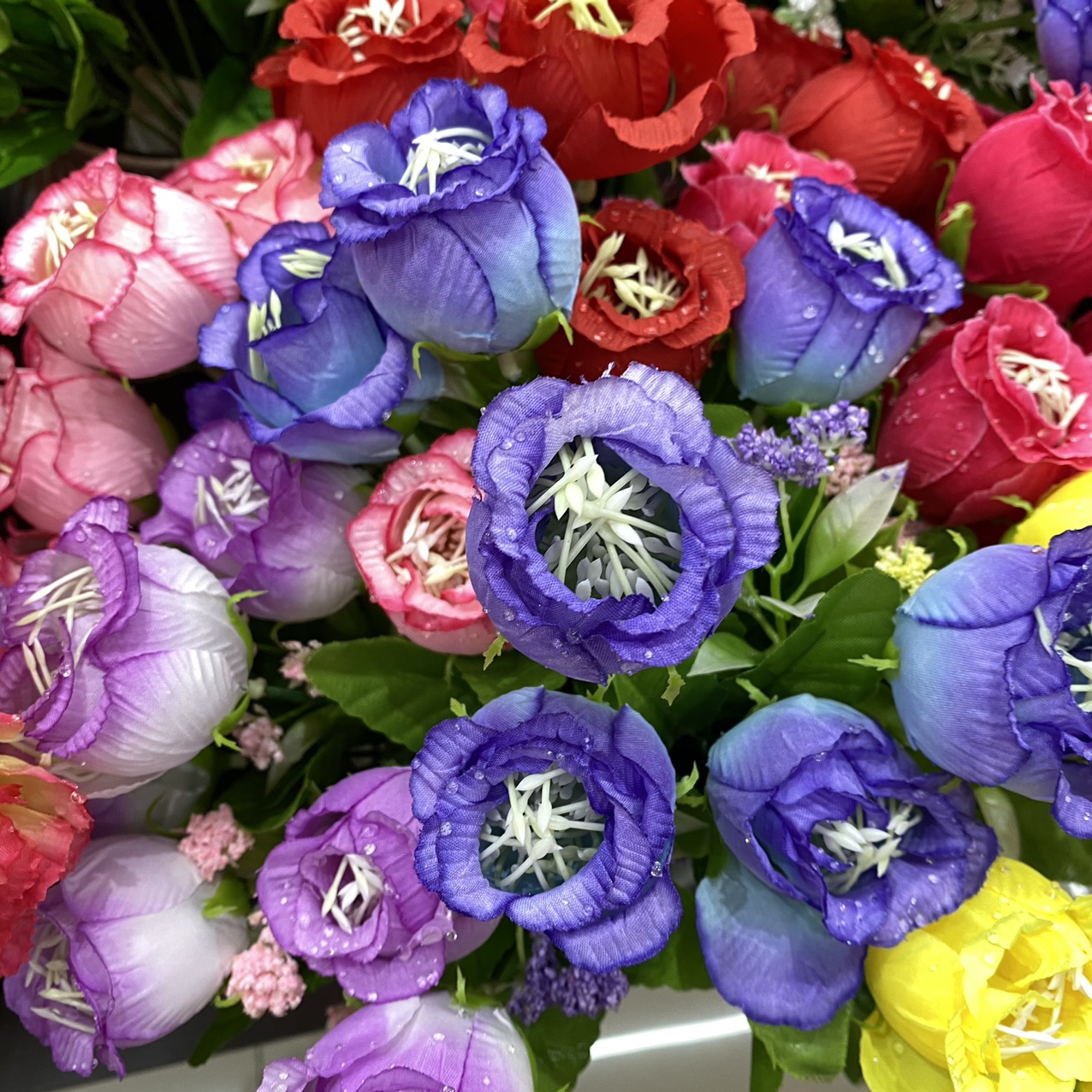rosebud
Colour mixture