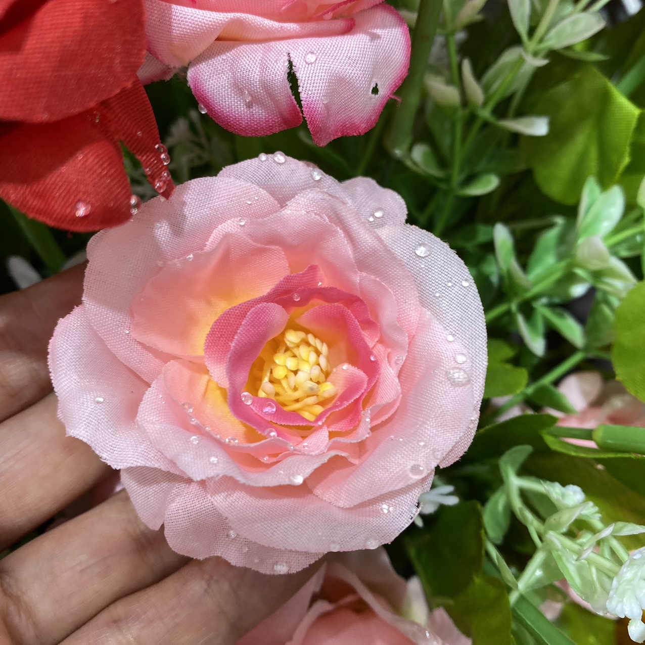 Water drop yellow heart rose pink