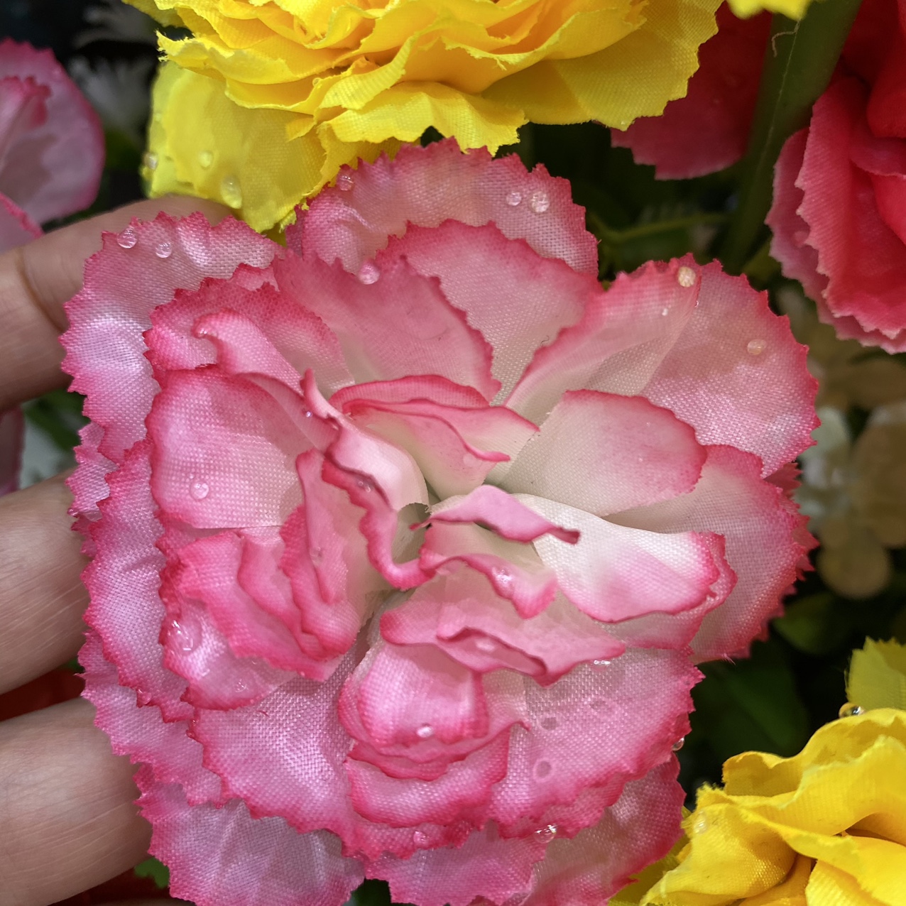 Carnation pink drops