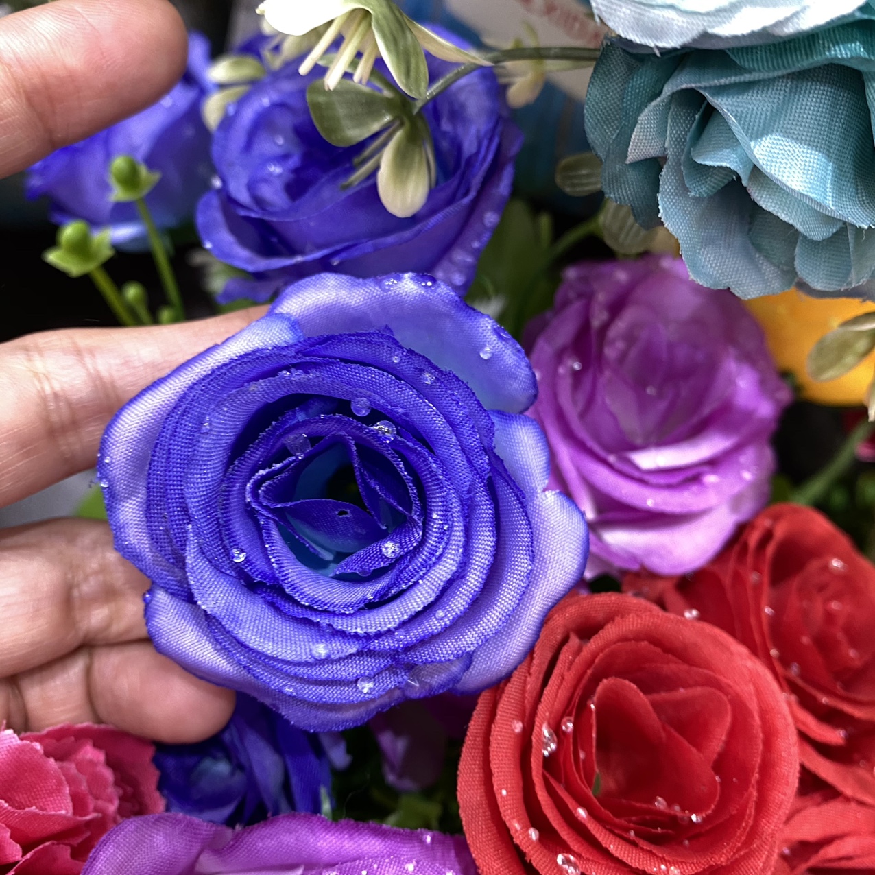 Water drop rose deep purple