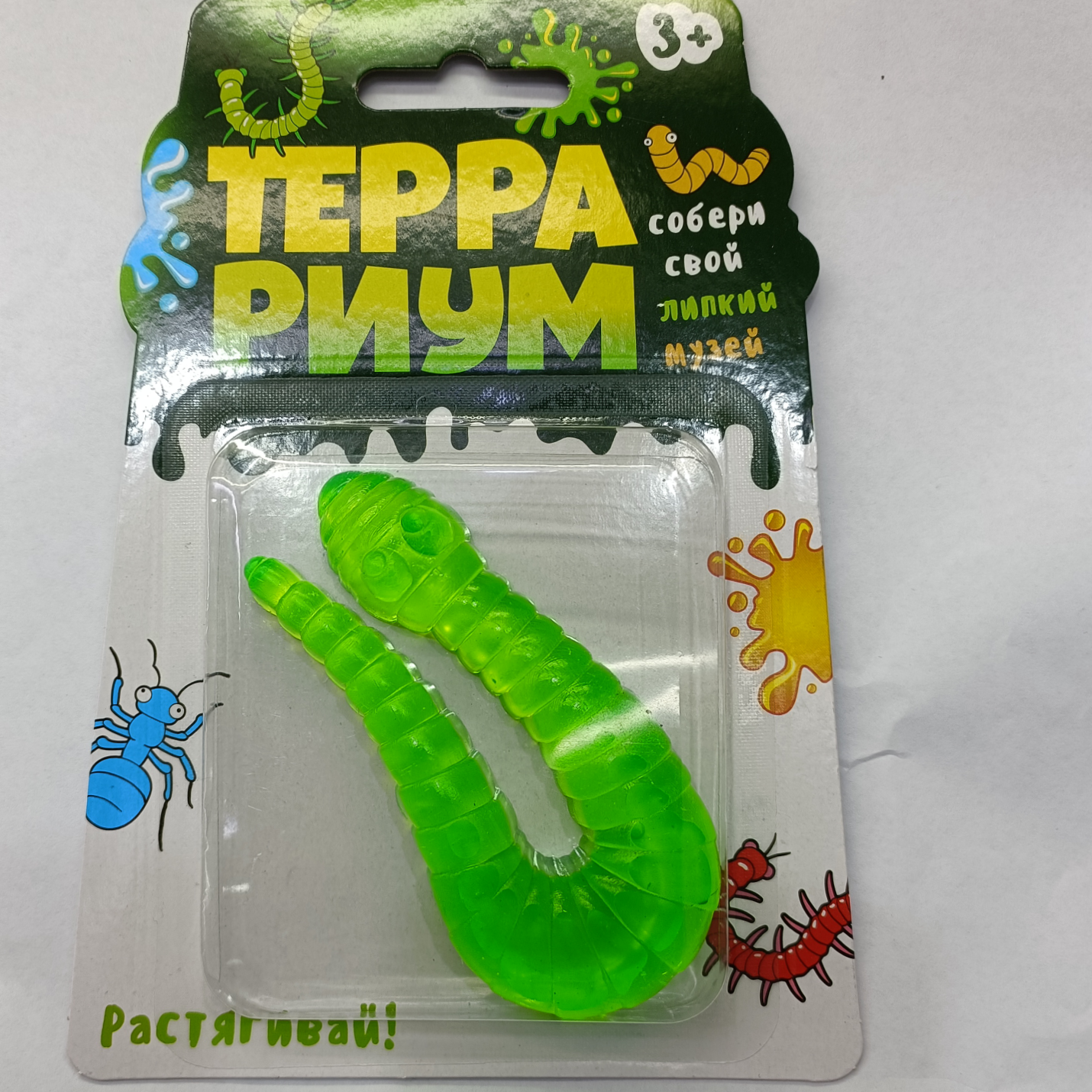 Insects 2