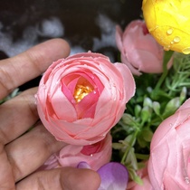 Flower heart camellia pink